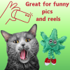 Lil' MJ the Weed Leaf 420 Cat Toy